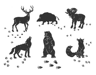 Forest animals icons and traces set