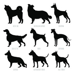 Dog breeds silhouettes set. High detailed, smooth vector illustration