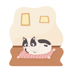 black and white pet cat resting on cushion cartoon