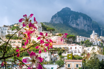 Fototapeta premium Blurred view of Positano village at the background of flowers. Amalfi coast, Italy.