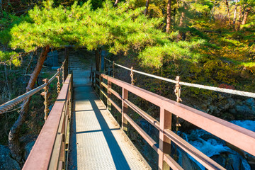 Obraz premium Kofu. Japan. Autumn canyon. Bridge over the mountain river. Wooden bridge over the gorge. Suspension bridge in the forest. Road for tourists the Shosenkyo Gorge. Tour to the city of Kofu.