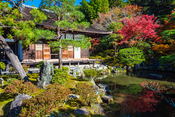 Kyoto. Japan. Temple Ginkaku-ji. Autumn landscape. Excursion to the temple. Temple Ginkaku-ji. Traveling through Kyoto gardens. Japan culture. Shokoku-ji. Silver Pavilion. Sights of Japan.