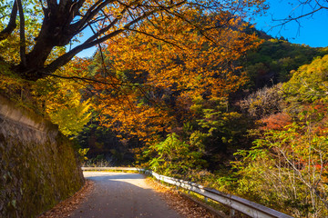 Kofu. Japan Highway to the gorge. Infrastructure Autumn canyon. Traveling in Japan by car. Tours in the cities of Japan. Road at the foot of the cliff. Nature. Landscape. Vacation in the city of kofu