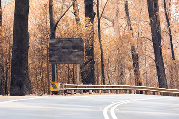 A burnt road sign on a country road amongst severely burnt Eucalyptus trees after a bushfire in The Blue Mountains