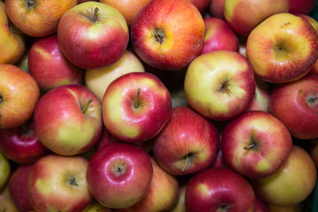Florina red green apples in bulk. Fruits, berries, useful products.
