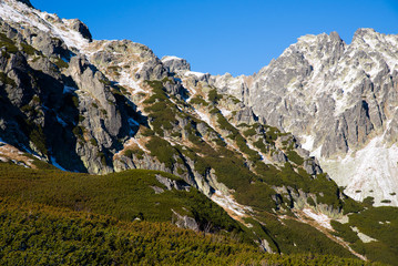 Widok na szczyty gór. Roślinność górska, kosodrzewina w Tatrach Wysokich. 
