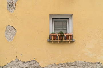 flower pots in front of window of a house