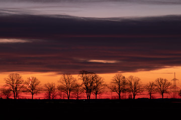 Fototapeta premium Bäume an einer Seite einer Landstraße im Morgengrauen