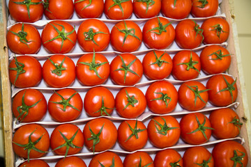 Red tomatoes with green cuttings laid out in rows in a wooden box. Vegetables, useful products.