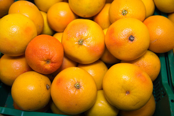 Grapefruit red pink yellow in bulk. Fruits, berries, useful products.