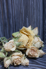 Dried roses on a background of brushed boards.