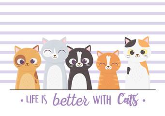 life is better with cats lettering portrait cartoon