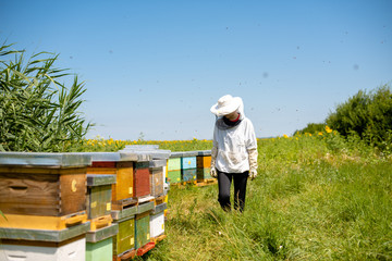 Beekeeping