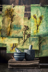 Old herbalist laboratory with plant descriptions and dried cards