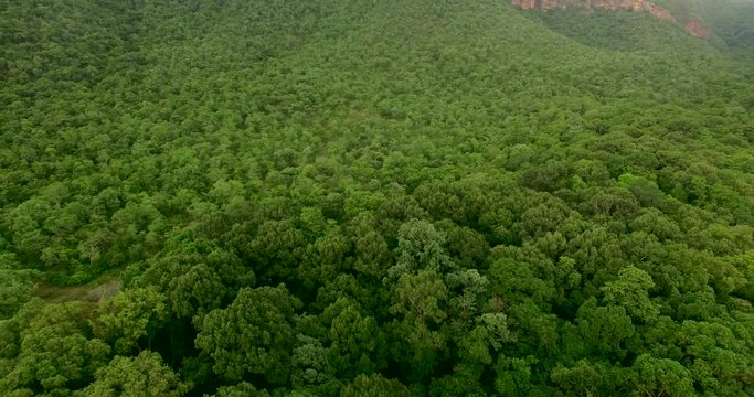 aerial shot amazing green forest, Amazing landscape with mountains covered by green tropical forest