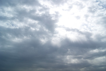 Obraz premium SONY DSC