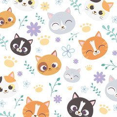 background pet cats face flowers paw floral decoration cartoon