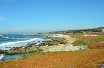Fototapeta na wymiar Picturesqe Monterey Peninsula in California, USA. Scenic drive between Monterey and the quaint town of Carmel winds along the ocean on one side and upscale homes and golf courses on the other.