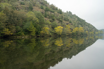 Trees line the waterways of Broken Bow, Oklahoma. 