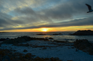 Fototapeta premium Picturesqe Monterey Peninsula in California, USA. Scenic drive between Monterey and the quaint town of Carmel winds along the ocean on one side and upscale homes and golf courses on the other.