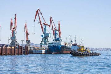Panorama of the cargo seaport. In the water area of the port there are ships for unloading and loading and port cranes.