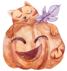 Watercolor hand painted cute cat clipart on white background. Lovely illustration for stickers, print, pattern, greeting cards, invitations. Lovely cat and pumpkin