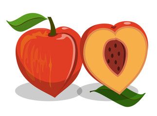 peach fruit flat icon on white background