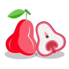 rose apple flat icon on white background