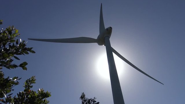 Wind turbine in the sun