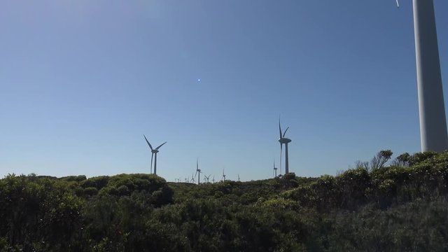 Wind turbines on a wind farm