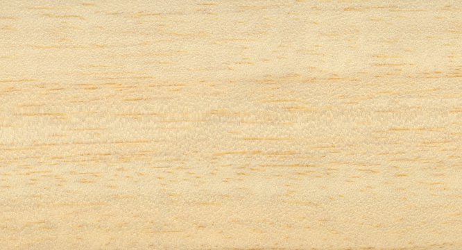 light brown ayous samba wood texture background
