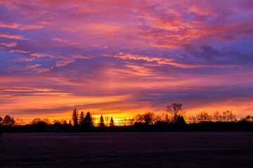 Fototapeta premium colorful sunrise over the edge of the forest
