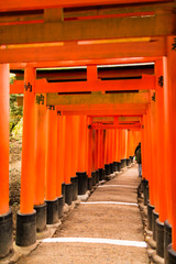 日本京都伏見稲荷大社の千本鳥居