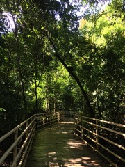 Obraz premium bridge in forest