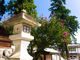 house in garden