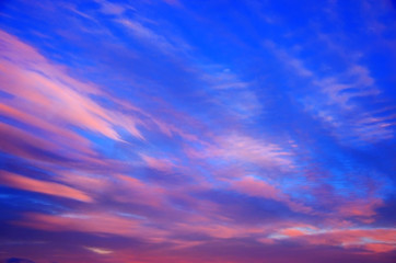 Pink clouds are floating on a bright blue sky. The evening horizon glows with multicolor. Vanilla romantic mood in the early morning or evening at sunset.