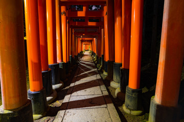 京都伏見稲荷大社夜の千本鳥居参道