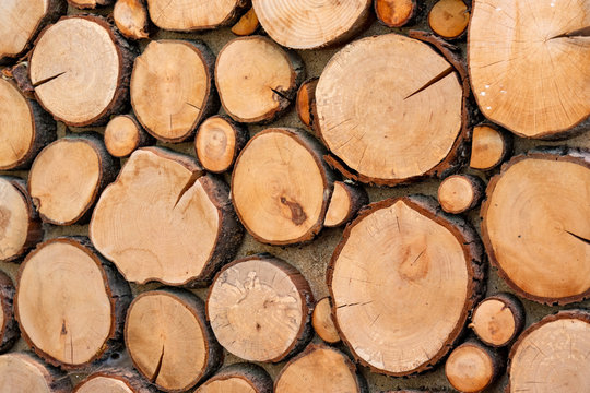 Holzscheiben