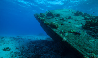 wreck diving to sunken ship