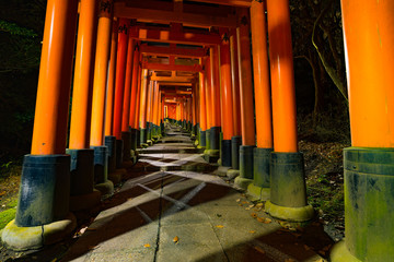 京都伏見稲荷大社夜の千本鳥居参道