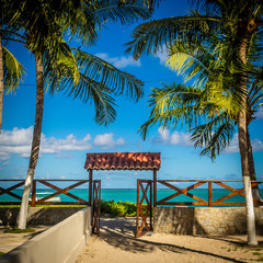 Beaches of Brazil - Ponta de Mangue Beach, Alagoas