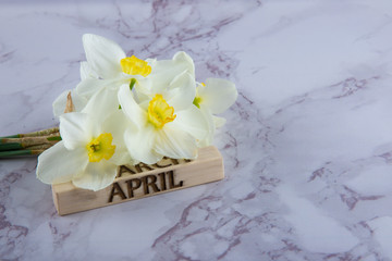 Spring decoration. Wooden plank with word April and fresh white narcissus bouquet lying on marble table