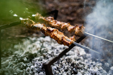Lots of grilled meat. pieces of fried meat on hot coals. The concept of outdoor recreation at the weekend. Grilled kebab. Bonfire in forest. Cooking barbecue outdoor .