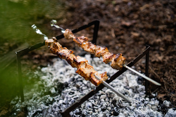 Lots of grilled meat. pieces of fried meat on hot coals. The concept of outdoor recreation at the weekend. Grilled kebab. Bonfire in forest. Cooking barbecue outdoor .