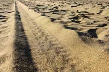 sand road detail