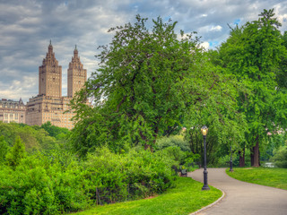 Fototapeta na wymiar Central Park summer