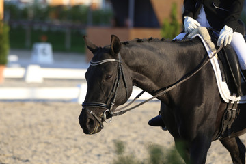 Unknown contestant rides at dressage horse event in riding ground outdoors