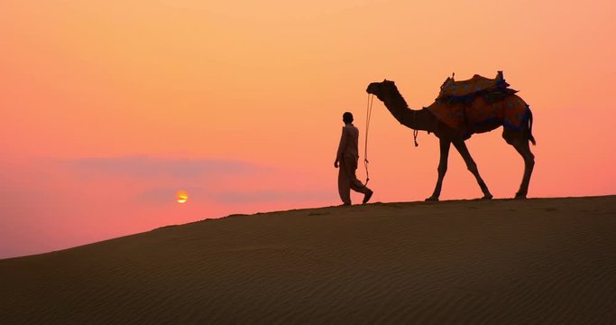 Indian cameleers (camel driver) bedouin with camel silhouettes in sand dunes of Thar desert on sunset. Caravan in Rajasthan travel tourism background safari adventure. Jaisalmer, Rajasthan, India
