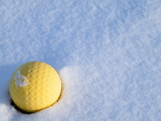 Yellow Golf Ball in Winter Snow