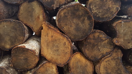 Close up stylized stacked wooden sawn logs as wall background